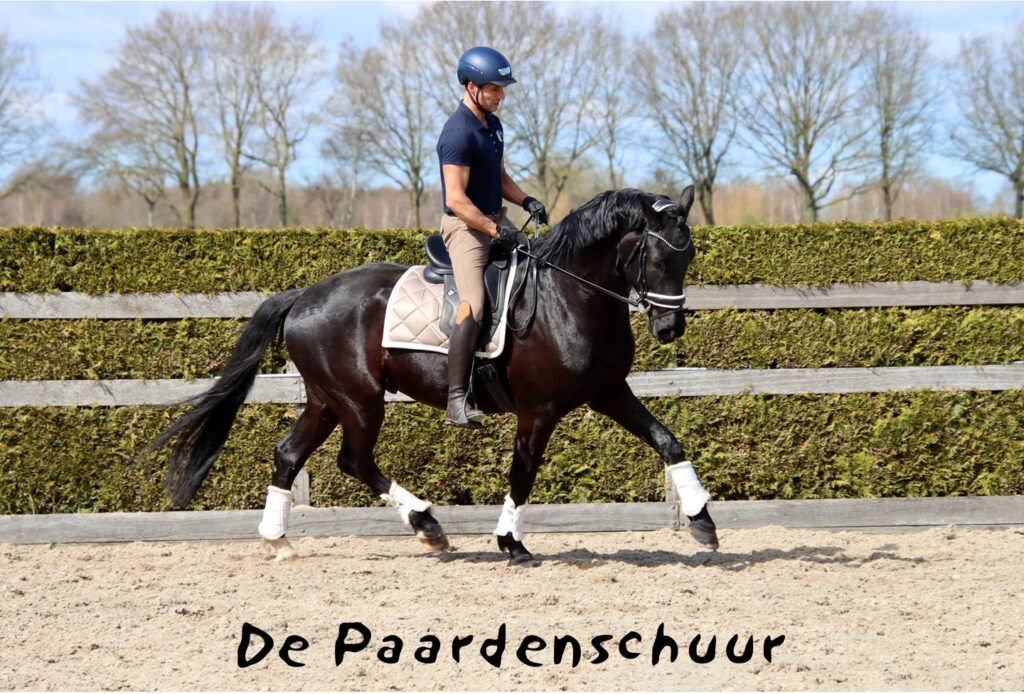 De Paardenschuur, specialist in zadel met het HART systeem