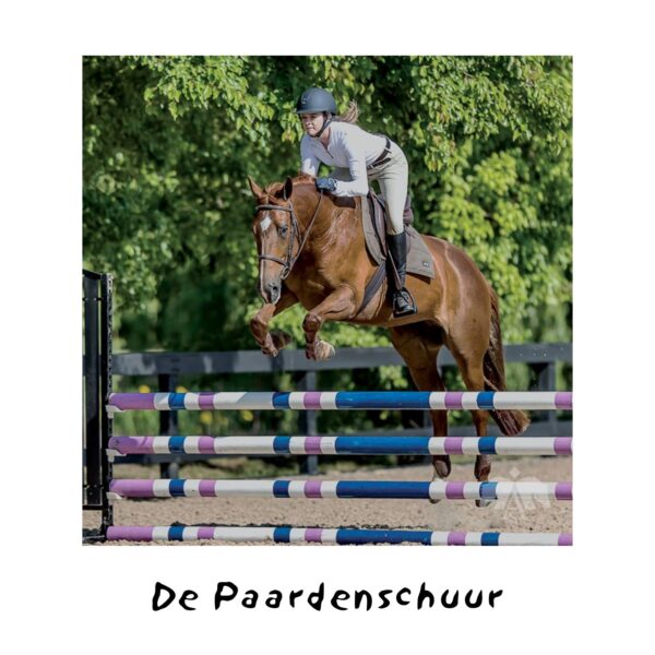 Arena springzadel hart zadels springzadels