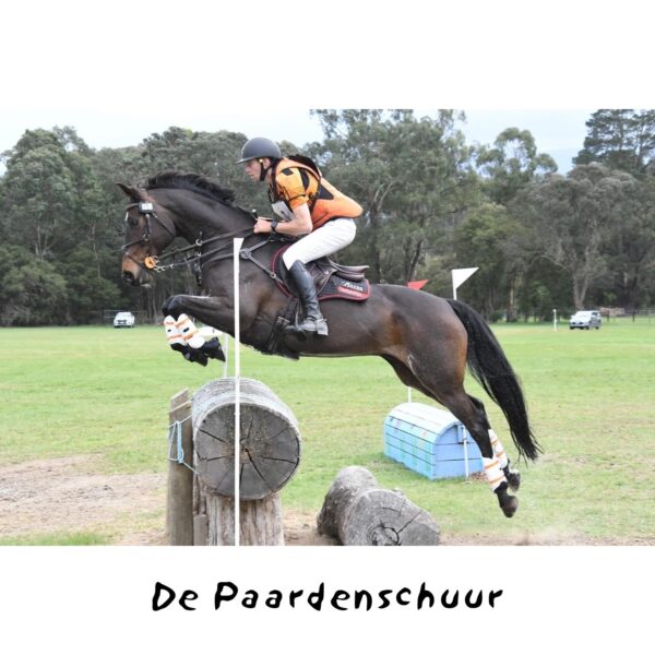 Bates Advanta springzadel - Afbeelding 7