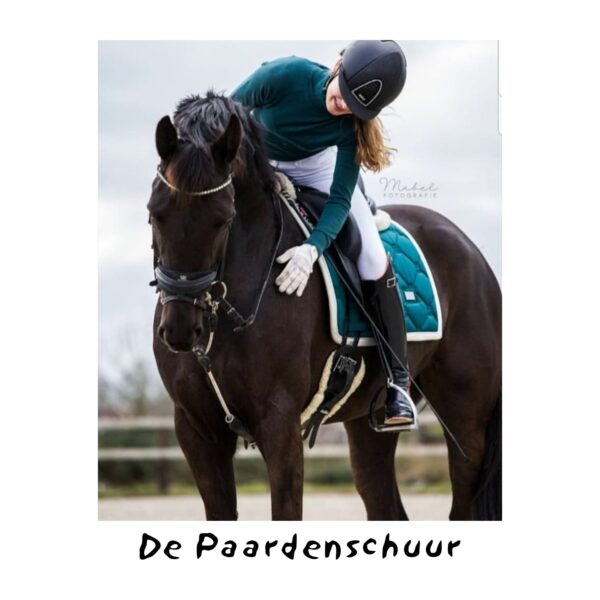Reinrite sport hulpteugel dressuur springen springzadels