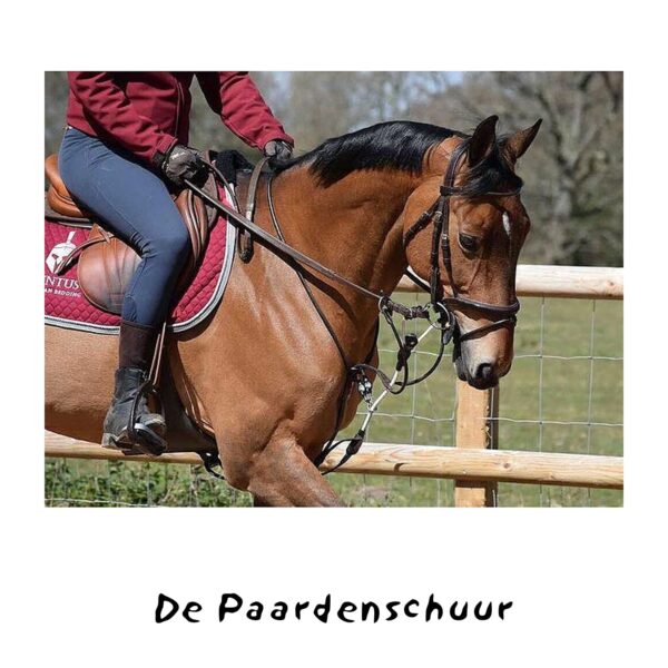 ReinRite Sport trainingshulp - Afbeelding 4