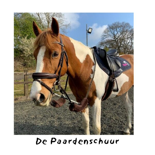 ReinRite Sport trainingshulp - Afbeelding 3