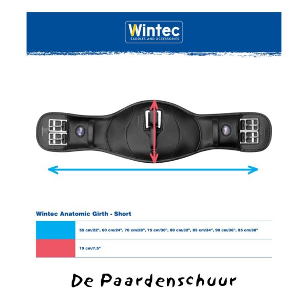 Wintec Dressuursingel CAIR - Afbeelding 4