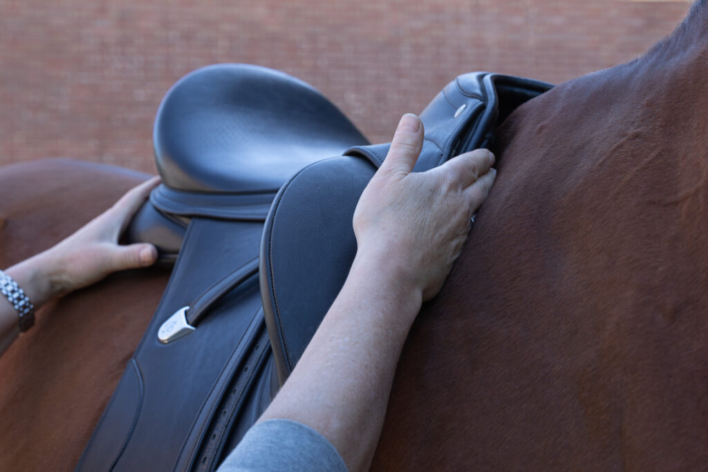 Zadelpasservice, zadel achter schouder van het paard. De Zadelmaker kijkt of je zadel fijn past bij je paard