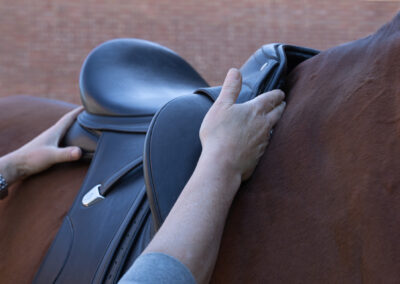 Zadelpasservice, zadel achter schouder van het paard