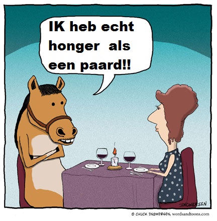 zadelpassen bij een te dik paard, het juiste gewicht.