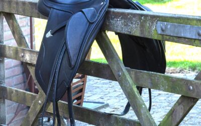 Waarom kiezen voor Bates, Wintec of Arena dressuurzadels?
