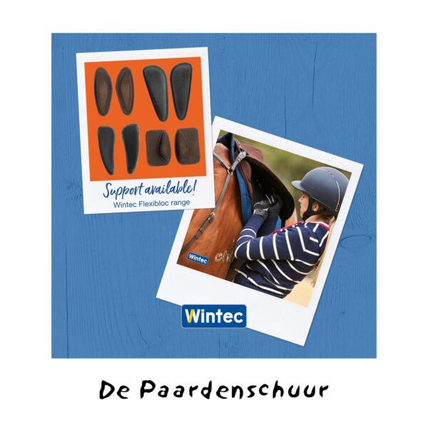 Wintec Kniewrongen Dressage XL - Afbeelding 2
