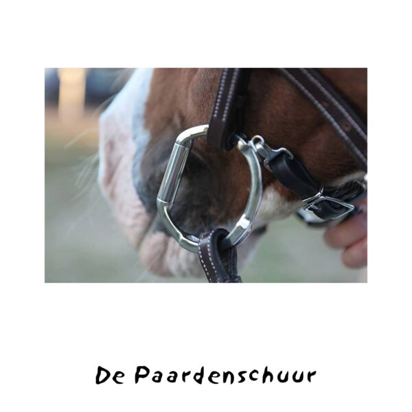 Myler bit Bustrens Level 2 met sleuven - Afbeelding 2