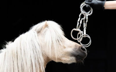 Gratis 3 weken een MYLER BIT testen