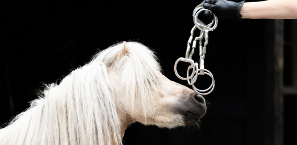 Myler bit Pony Bustrens Level 2 - Afbeelding 3
