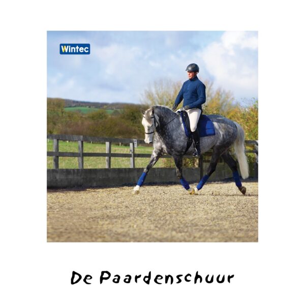 Wintec Pro Dressage HART - Afbeelding 2