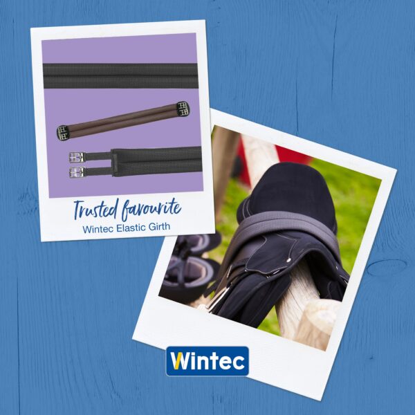 Wintec Dressuursingel elastisch - Afbeelding 2
