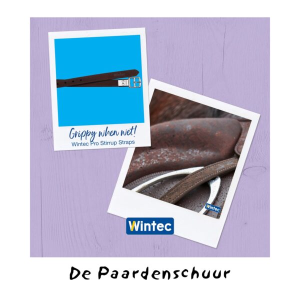 Wintec Pro Webbers beugelriemen - Afbeelding 2