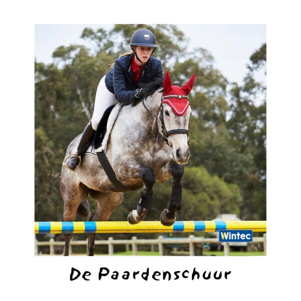 Wintec springzadel paardenschuur midden nederland zadelpasser springzadels