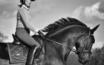 Top producten GRATIS testen