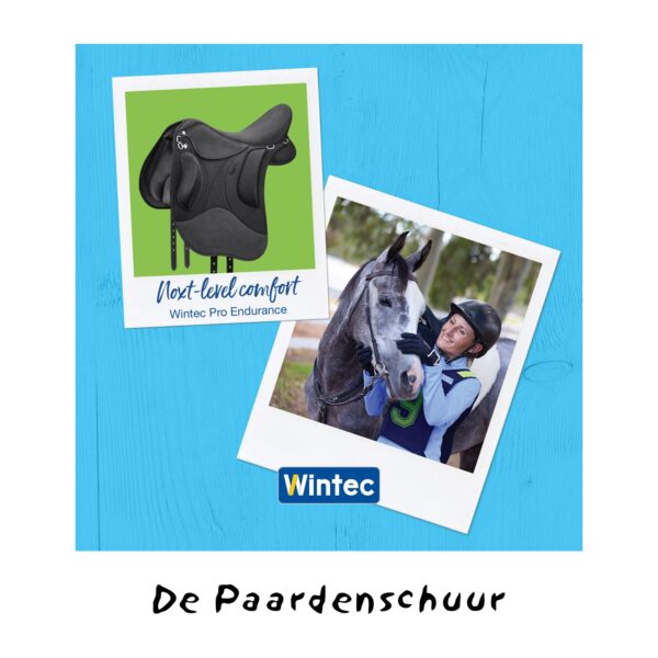 Wintec Pro endurance zadel next level paardenschuur zadels