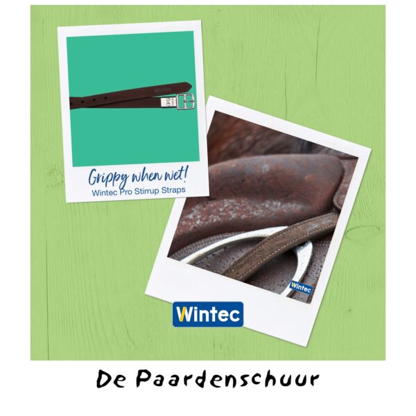 Wintec Pro beugelriemen - Afbeelding 3