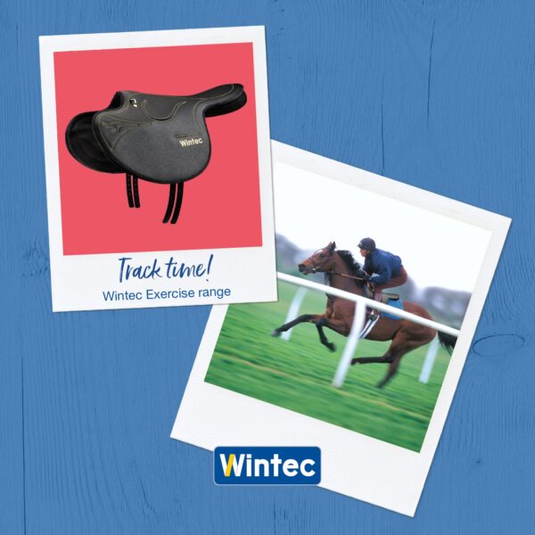 wintec racezadel zadels