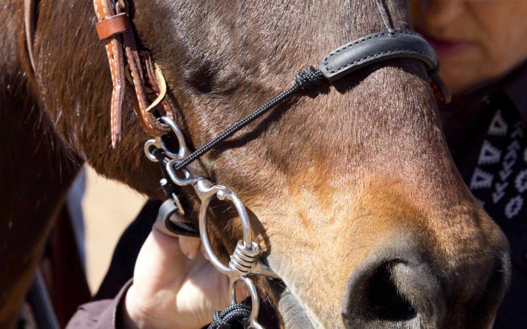 Welk bit is geschikt voor een sterk paard