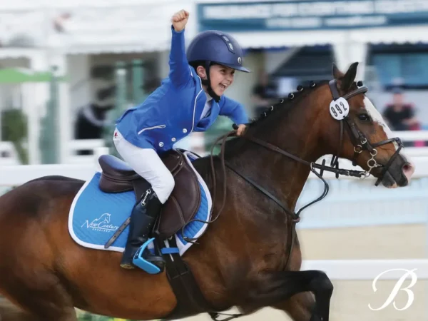 Ponyzadel bates wintec arena dressuurzadel springzadel veelzijdigheidzadel dressuurzadels springzadels veelzijdigheidszadels