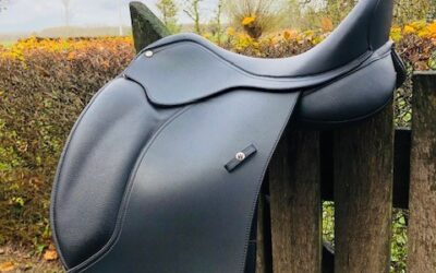 Wintec 500 dressuurzadel kopen? Gratis pasconsult!