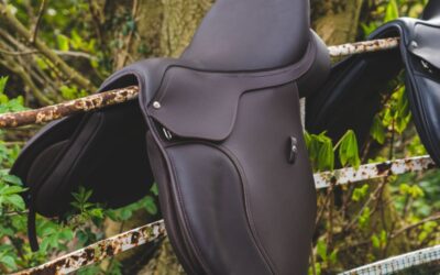 GRATIS pasconsult bij De Paardenschuur