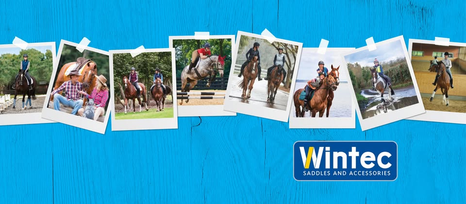 Wintec 500 bij de paardenschuur zadelmaker wintec zadels dealer