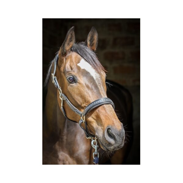 Penelope halster luxe leeer zwart