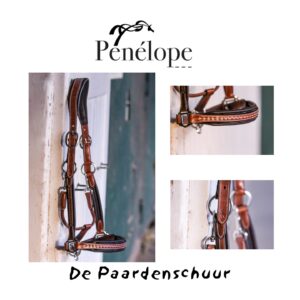 Penelope halster leer luxe in de kleur cognac. Zeer sterk