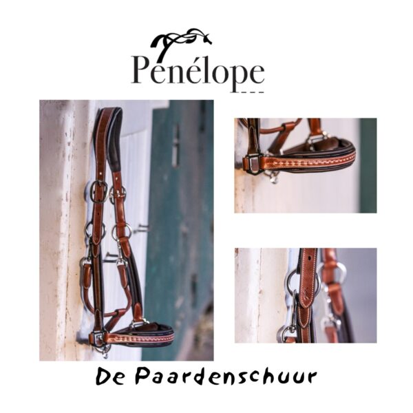 Penelope halster leer luxe in de kleur cognac. Zeer sterk
