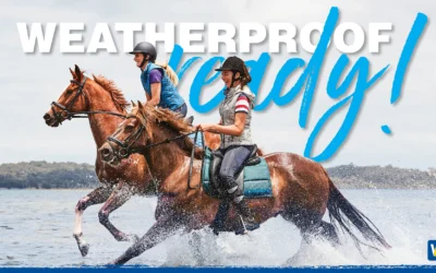 Onderhoud van je Wintec zadel