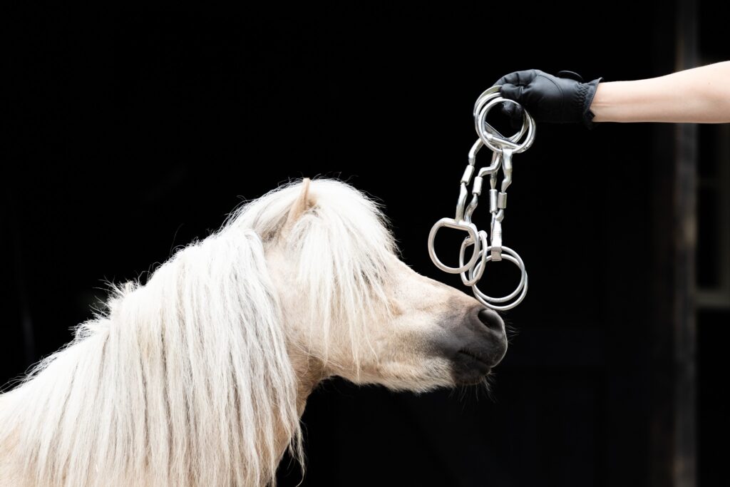 Myler bit kleine maat pony 10,5 cm. 11,5 cm en 9,5 cm