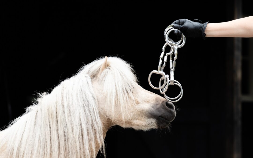 Myler bitten voor pony’s