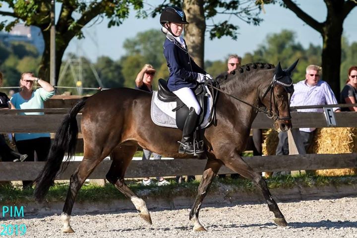 Myler bit voor pony's  kleine maten pony bitten