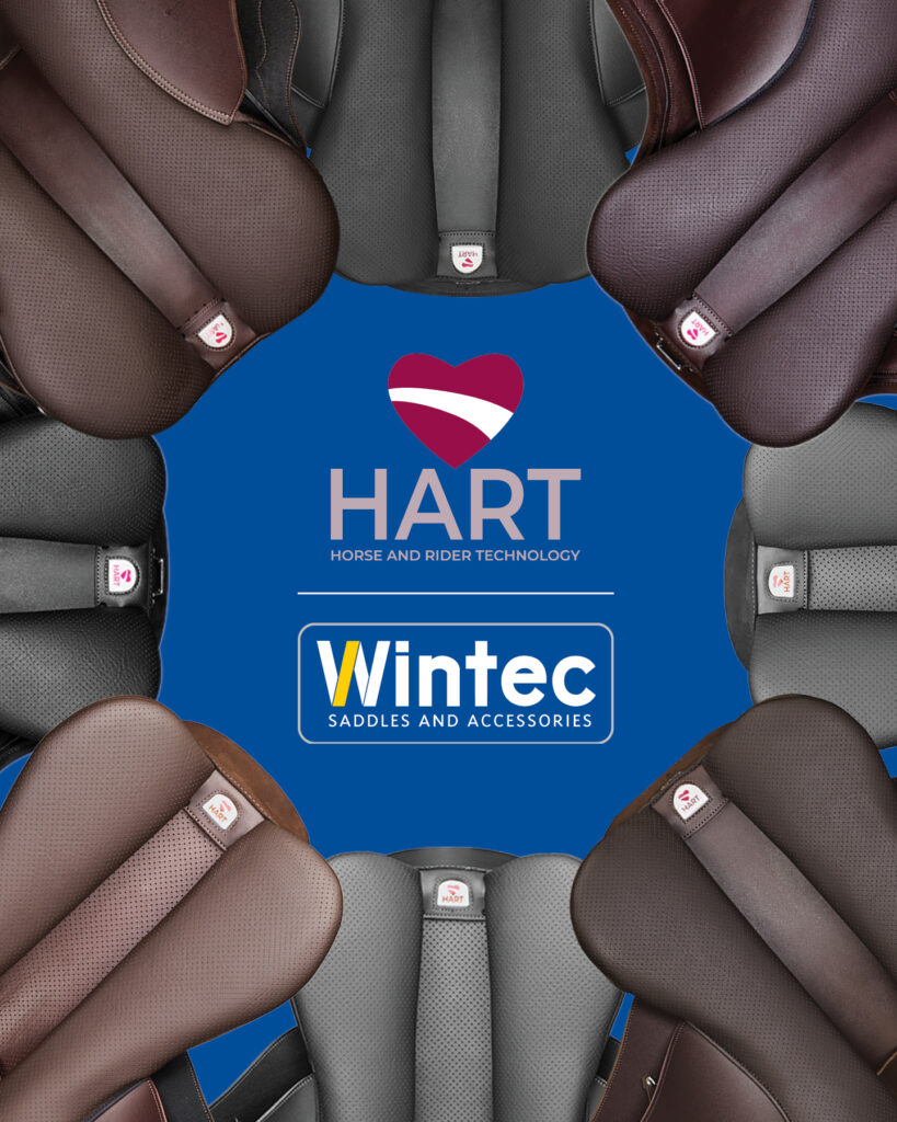wintec 500 zadel met het hart systeem aanpasbaar zadel wintec zadelspecialist in nederland