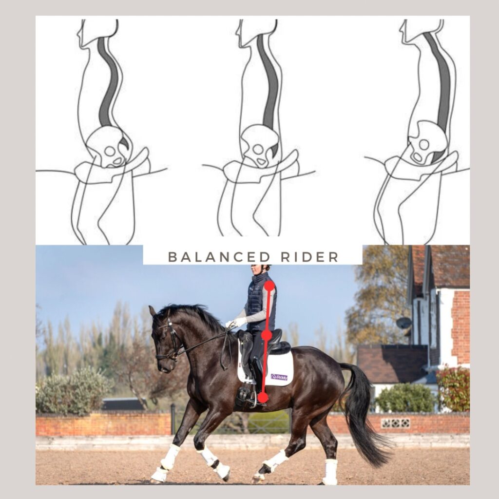 HART technologie voor optimale balans tussen ruiter en paard bij De Paardenschuur