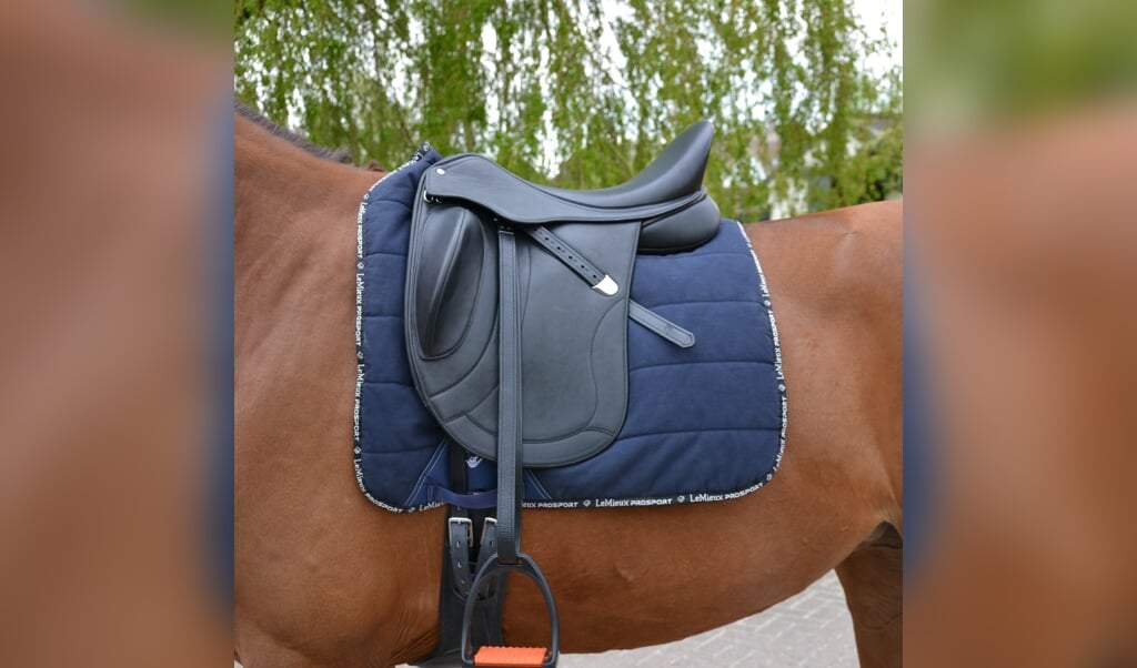 BALANS tussen ruiter en zadel