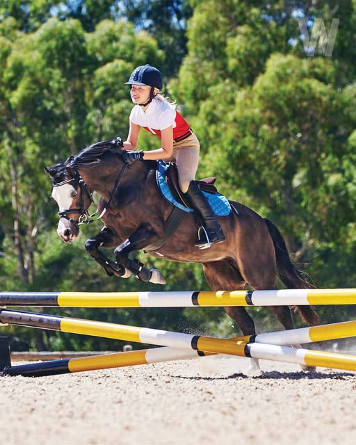 wintec pony zadel met gratis zadelpasconsult