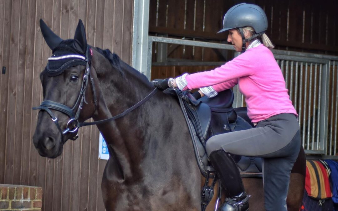 Bescherm je zadelboom