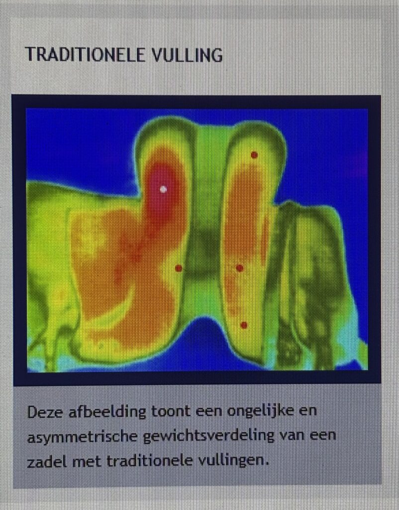 thermografie onderzoek zadel met wollen vulling