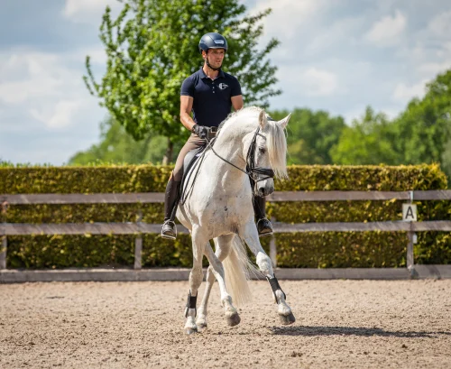 Bastiaan de Recht Bates Saddles ambassadeur Bates Aritse dressuurzadel
