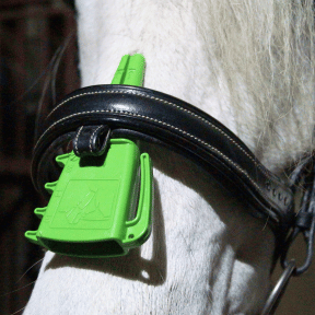 Meting van de neusriemspanning bij een paard met het meetinstrument voor de verplichte twee-vingers-regel